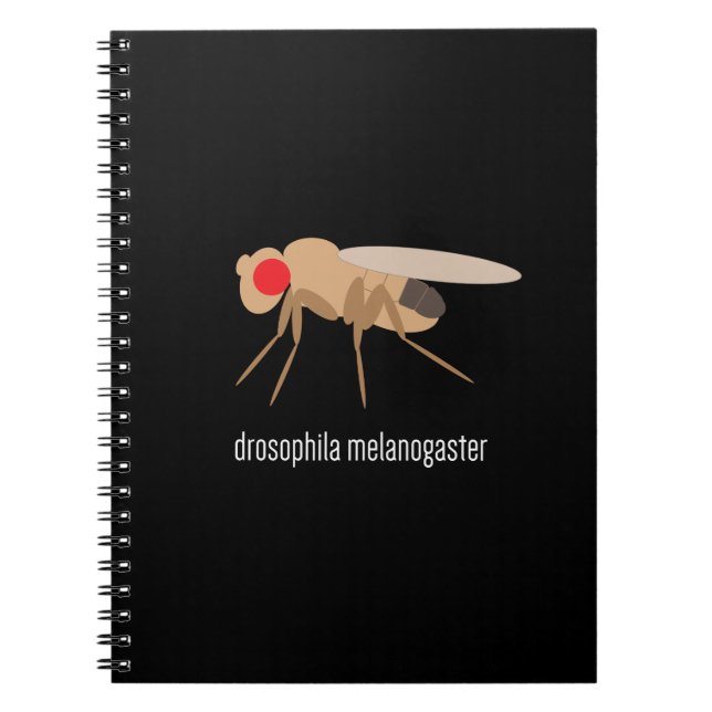 Carnet de laboratoire de drosophile (Devant)