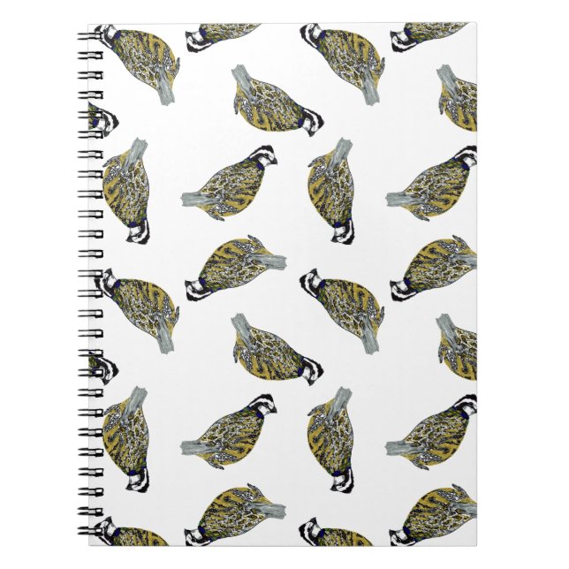 Carnet de lancer de caille (Devant)