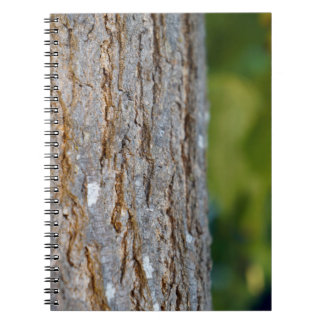 Carnet de l'arbre k