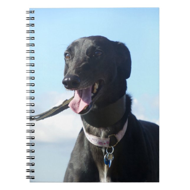 Carnet de lévrier (P001) (Devant)
