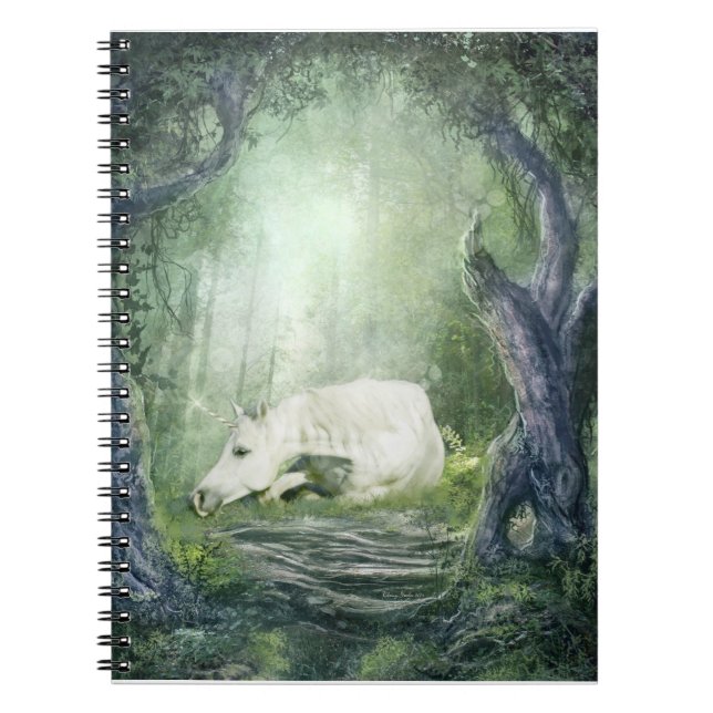 Carnet de licorne (Devant)