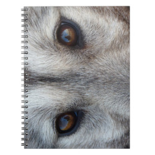 Carnet de loup de loup Husky / Cadeaux et livres d