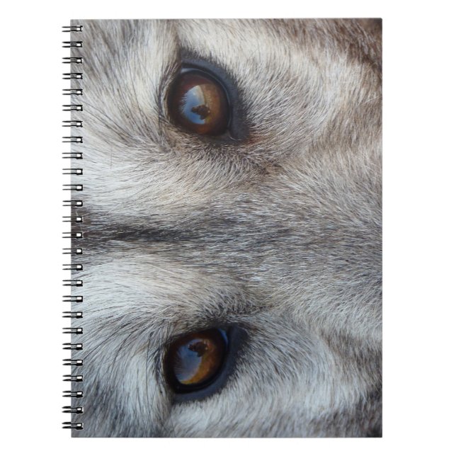 Carnet de loup de loup Husky / Cadeaux et livres d (Devant)