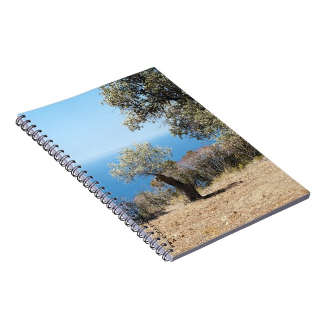 Carnet de Majorque (Côté Droit)