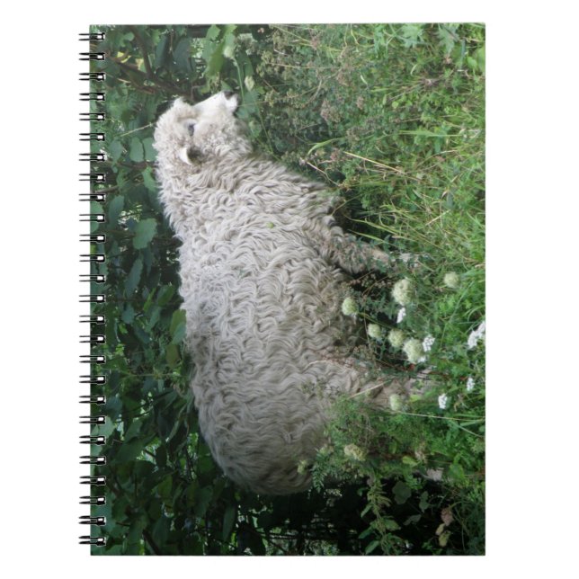 Carnet de manger des moutons gourmands (Devant)