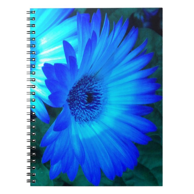 Carnet de marguerites bleues (Devant)