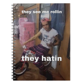 Carnet de mème Harry Styles