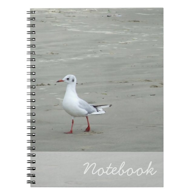 Carnet de mouettes (Devant)
