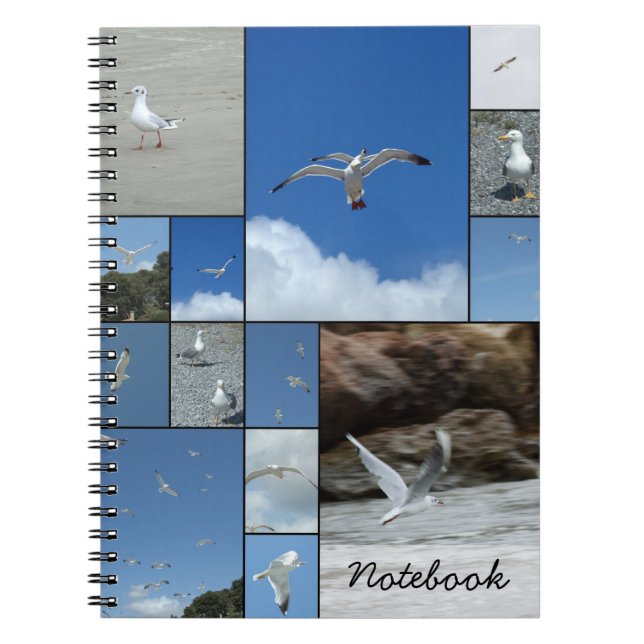 Carnet de mouettes (Devant)