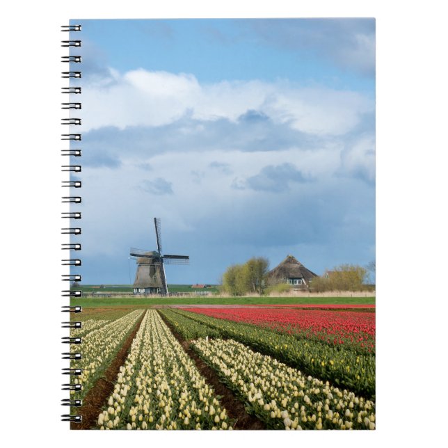 Carnet de moulin à vent et de paysage de tulipes (Devant)