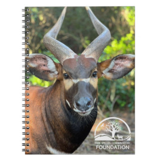 Carnet de Mountain Bongo