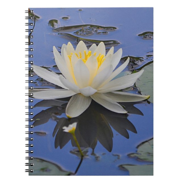 Carnet de nénuphars (Devant)