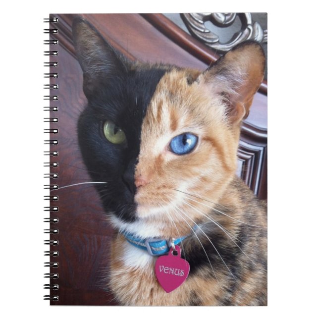Carnet de notes à spirale de chat de Vénus (Devant)