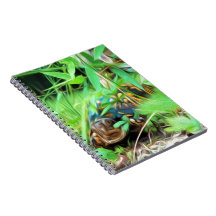 Carnet de notes à spirale de tortue de boîte