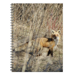 Carnet de notes à spirale rouge de Fox de