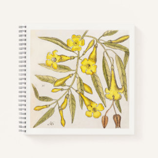 Carnet de notes d'art botanique jaune du 18e siècl
