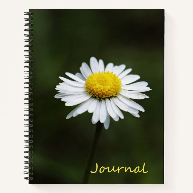 Carnet de notes de journal de 8,5 po x 11 po (Devant)