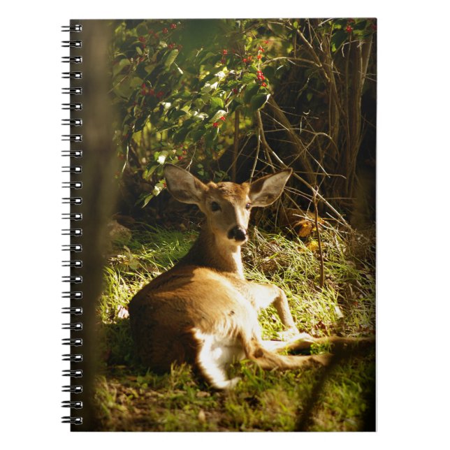 Carnet de notes photo spirale Young Buck (Devant)