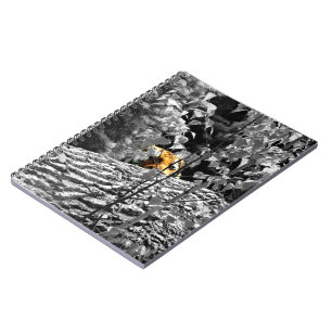 Carnet de notes Tigre Peek-a-boo