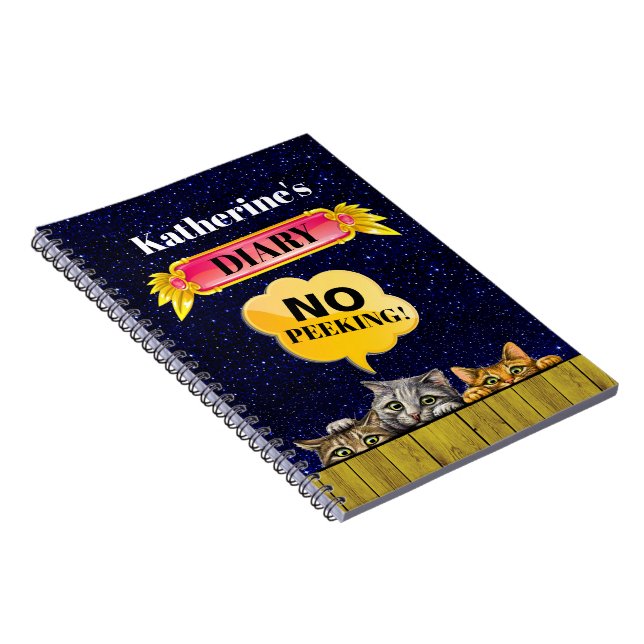 Carnet de Pékin (Côté Droit)