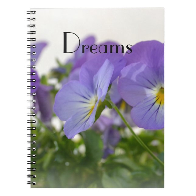 Carnet de pensées de rêves (Devant)