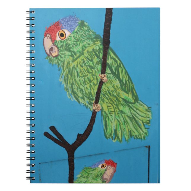 carnet de perroquet vert (Devant)