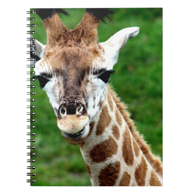 Carnet de photo de girafe (Devant)