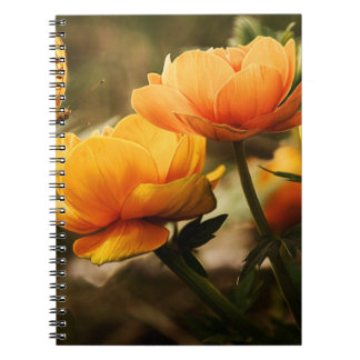 Carnet de photos (80 pages B&W)