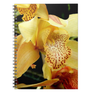 Carnet de photos de l'orchidée jaune pâle