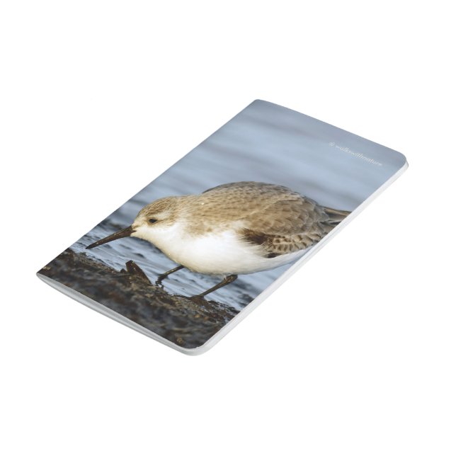 Carnet De Poche Une paire de sanderling Forages sur le rivage (Bas)