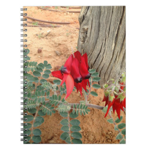 Carnet de pois de désert de Sturt d'Australien