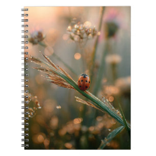 Carnet de prairie de Sunrise de Ladybug