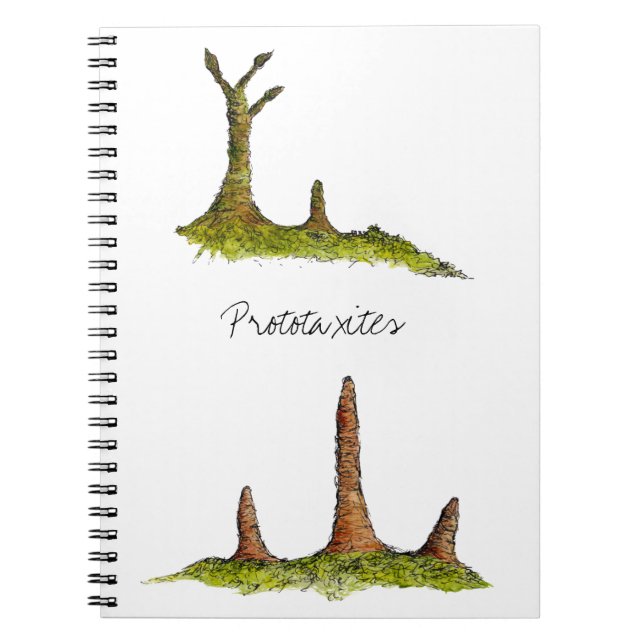 Carnet de Prototaxites (Devant)