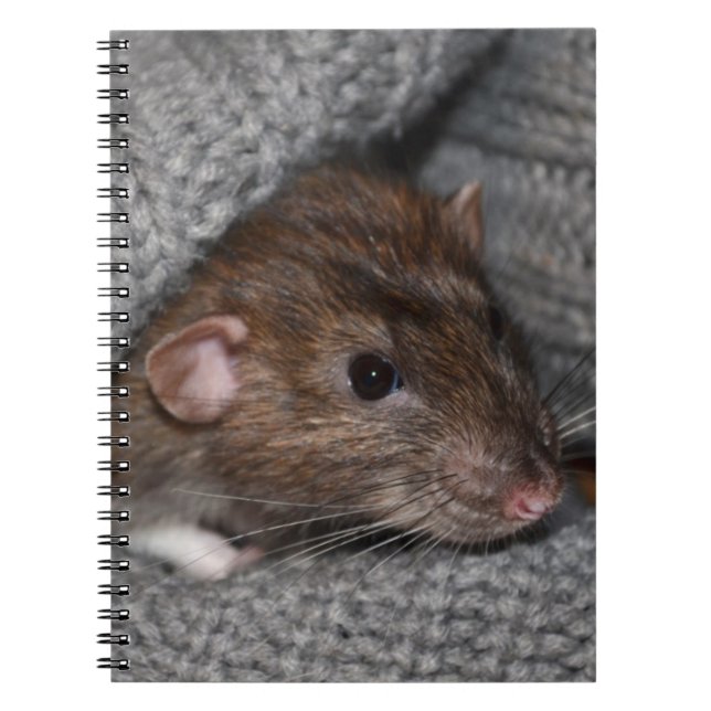 Carnet de rat (Devant)