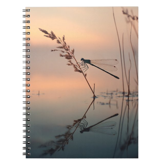 Carnet de réflexion Dragonfly Dawn (Devant)