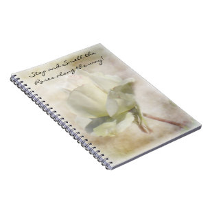 Carnet de rose blanche texturé