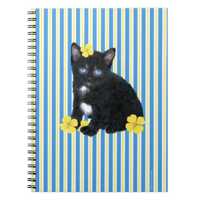 Carnet de "Sassa" (Devant)