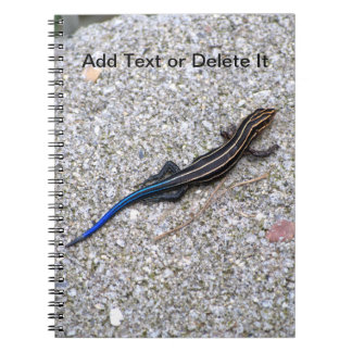 Carnet de Skink coupé la queue par bleu