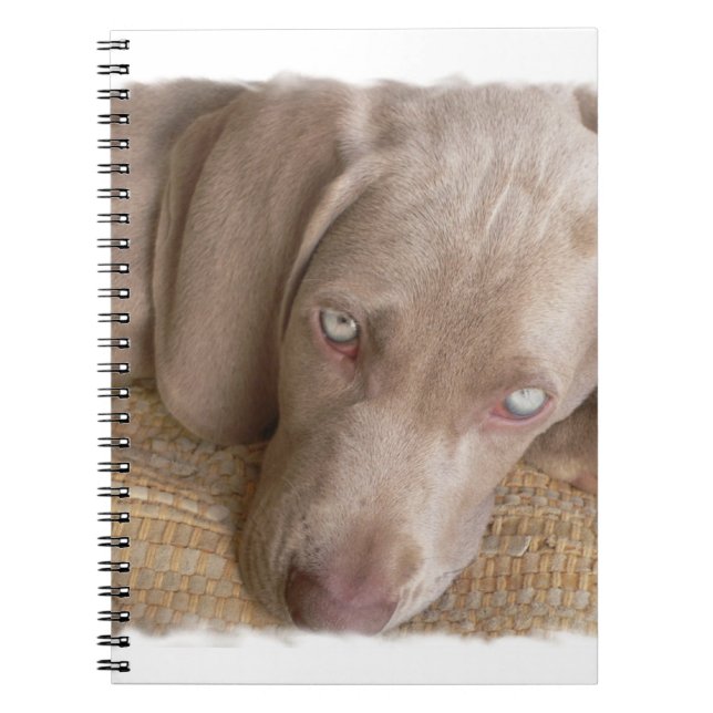 Carnet de sommeil Weimaraner (Devant)