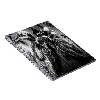Carnet de tarentule