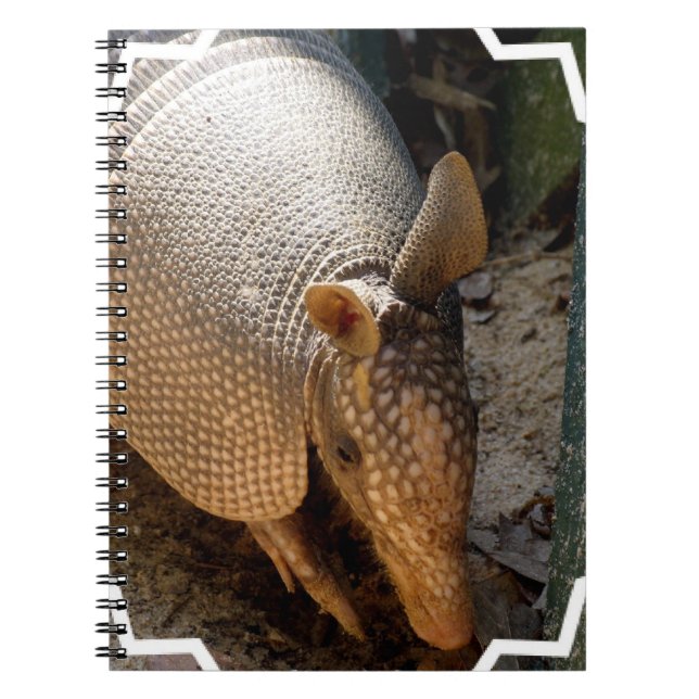 Carnet de tatou (Devant)