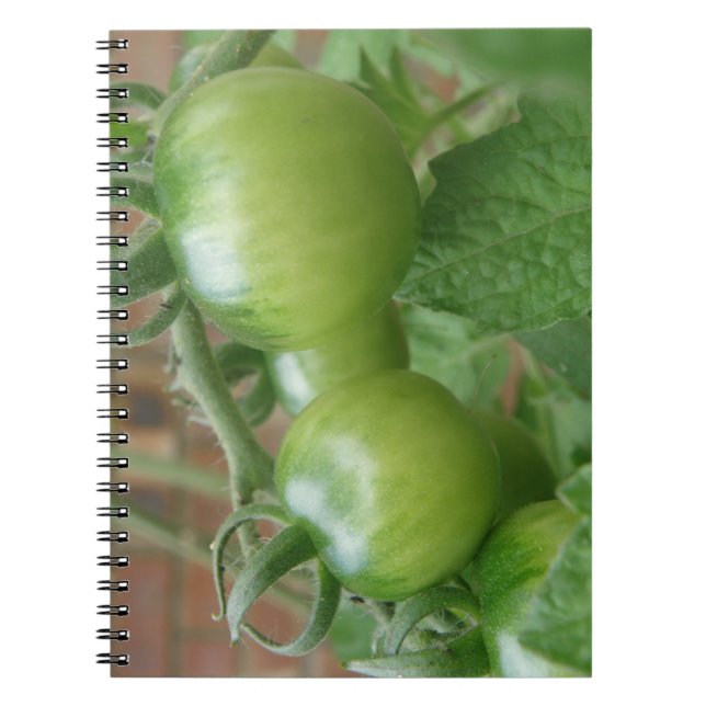 Carnet de tomates vertes (Devant)