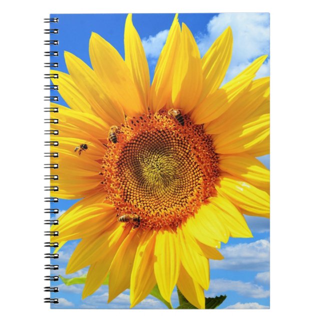 Carnet de tournesol et d'abeilles jaunes (Devant)