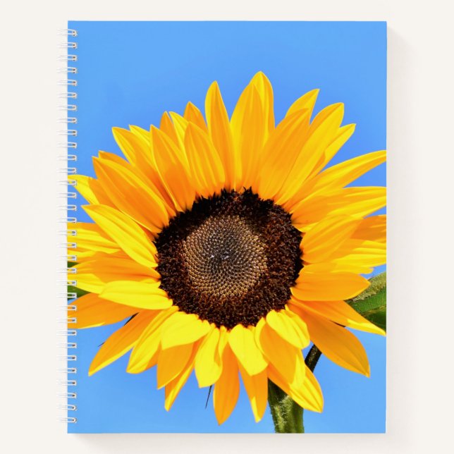 Carnet de tournesol jaune (Devant)