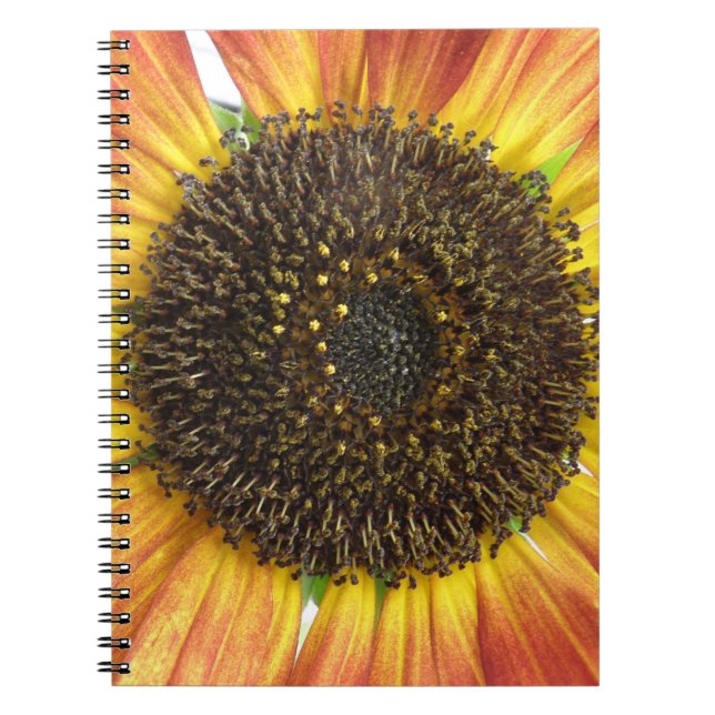 Carnet de tournesol orange (Devant)
