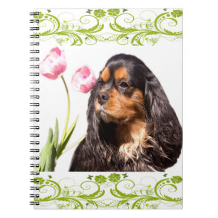 Carnet de Tulipes Spaniel Cavalier King Charles