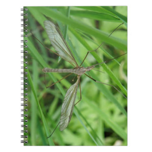 Carnet de vol de grue