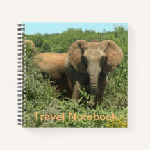 Carnet de voyage des éléphants africains
