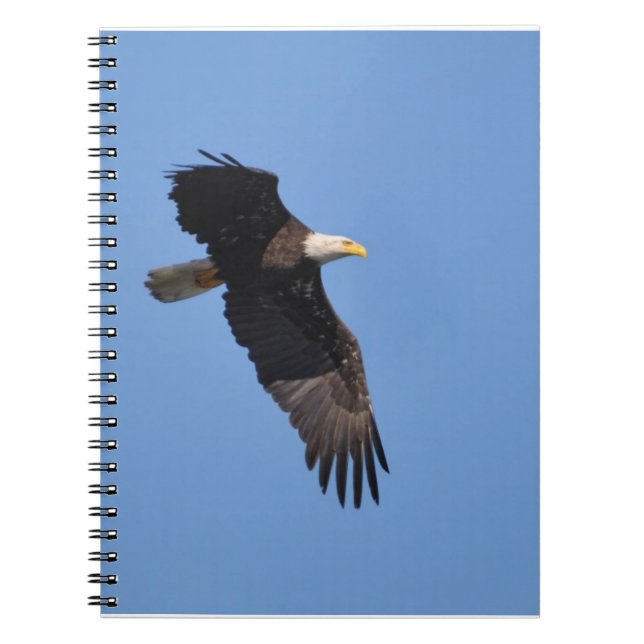 Carnet d'Eagle (Devant)
