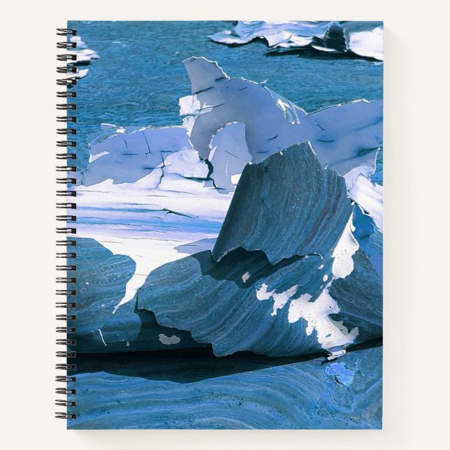 Carnet Décay urbaine - Étude de Peinture de Peeling (Devant)